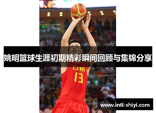 姚明篮球生涯初期精彩瞬间回顾与集锦分享